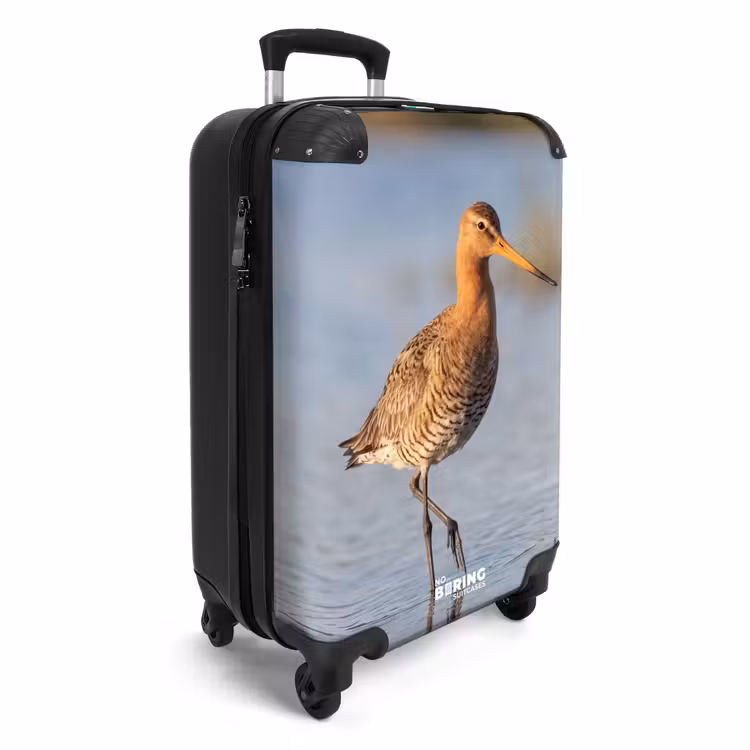 Koffer - Vogel - Steltloper - Water - Natuur — 2