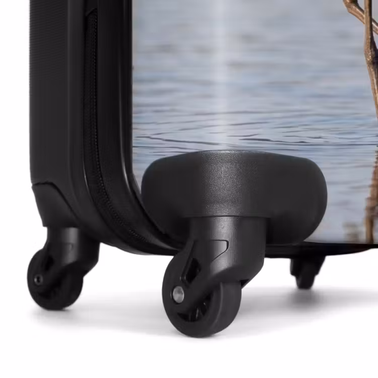 Koffer - Vogel - Steltloper - Water - Natuur — 6