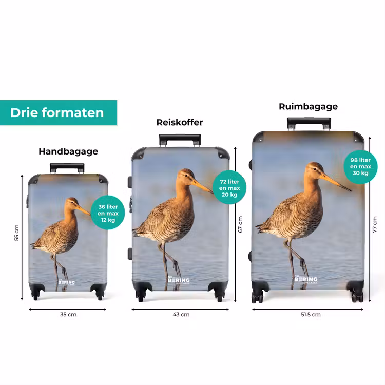 Koffer - Vogel - Steltloper - Water - Natuur — 8