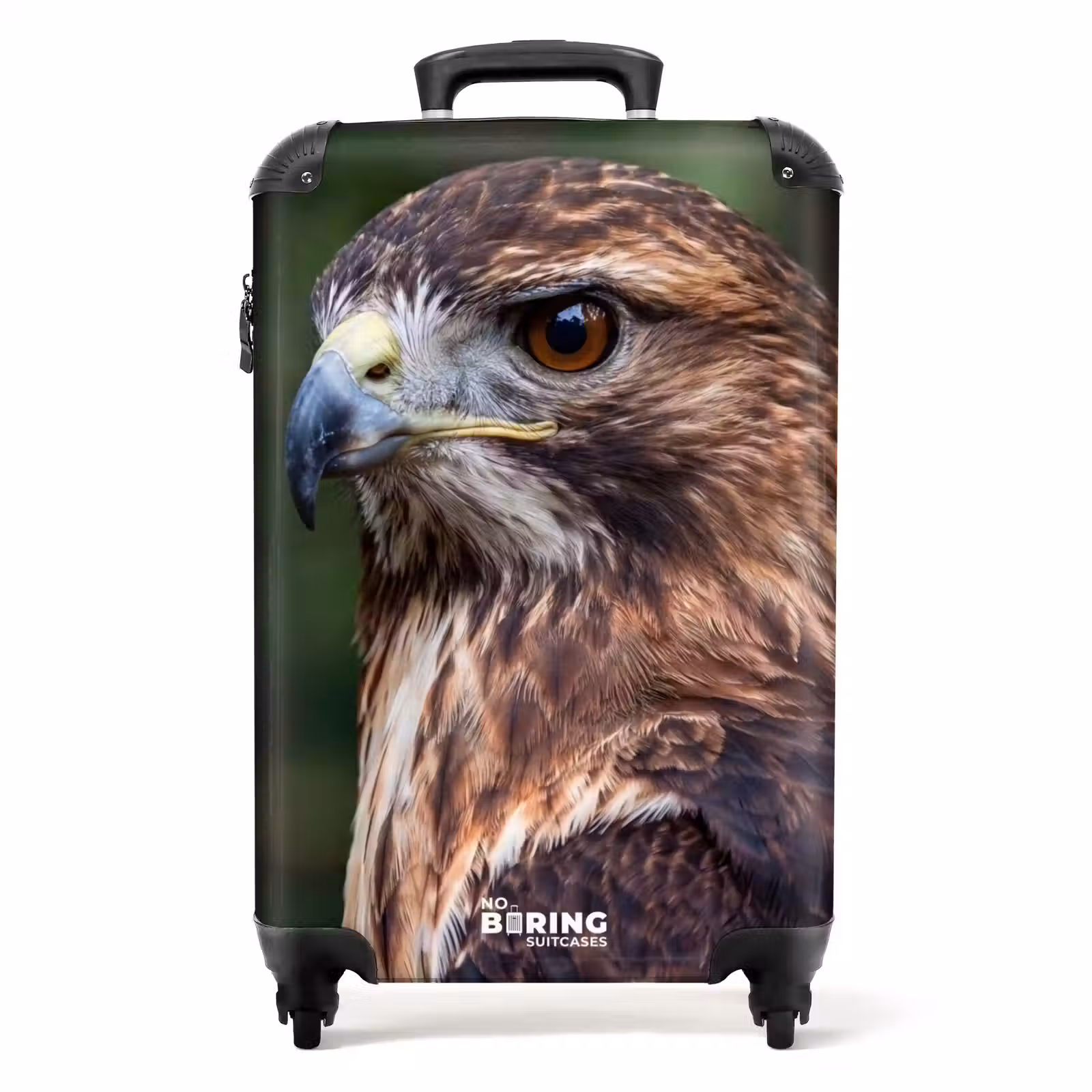 Koffer - Buizerd - Roofvogel - Natuur - Bruin — 1