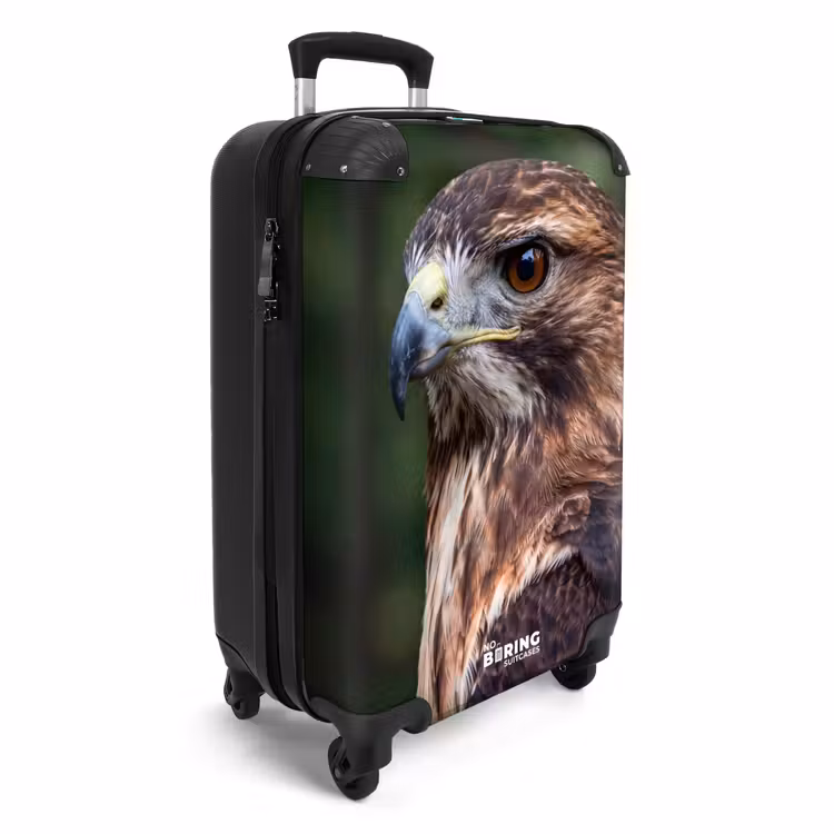 Koffer - Buizerd - Roofvogel - Natuur - Bruin — 2