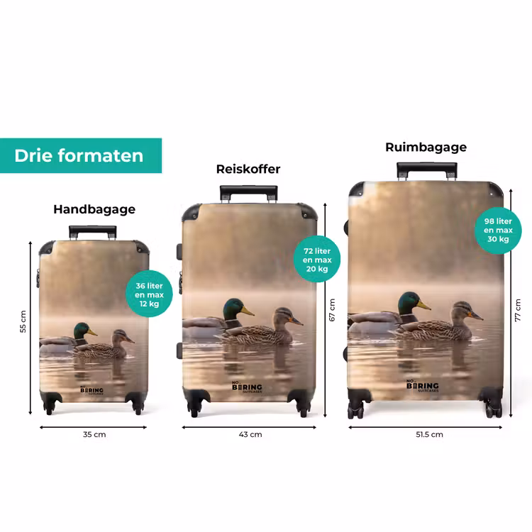 Koffer - Eenden - Water - Mist - Natuur — 8