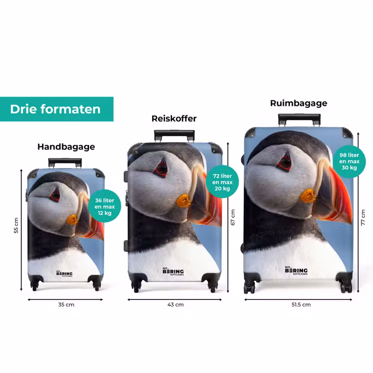 Koffer - Papegaaiduiker - Portret - Natuur — 8