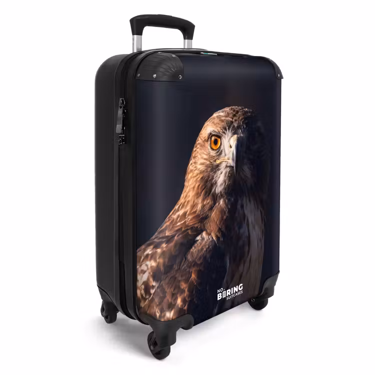 Koffer - Roofvogel - Buizerd - Bruin — 2