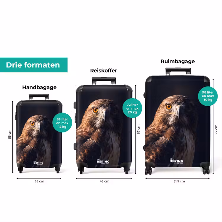 Koffer - Roofvogel - Buizerd - Bruin — 8