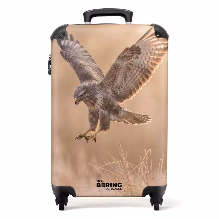 Koffer - Buizerd - Roofvogel - Natuur - Bruin — 1