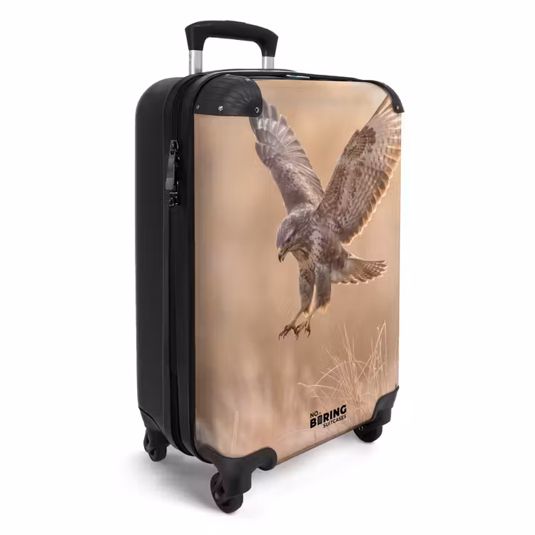Koffer - Buizerd - Roofvogel - Natuur - Bruin — 2