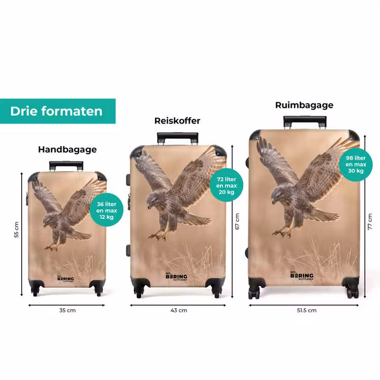 Koffer - Buizerd - Roofvogel - Natuur - Bruin — 8