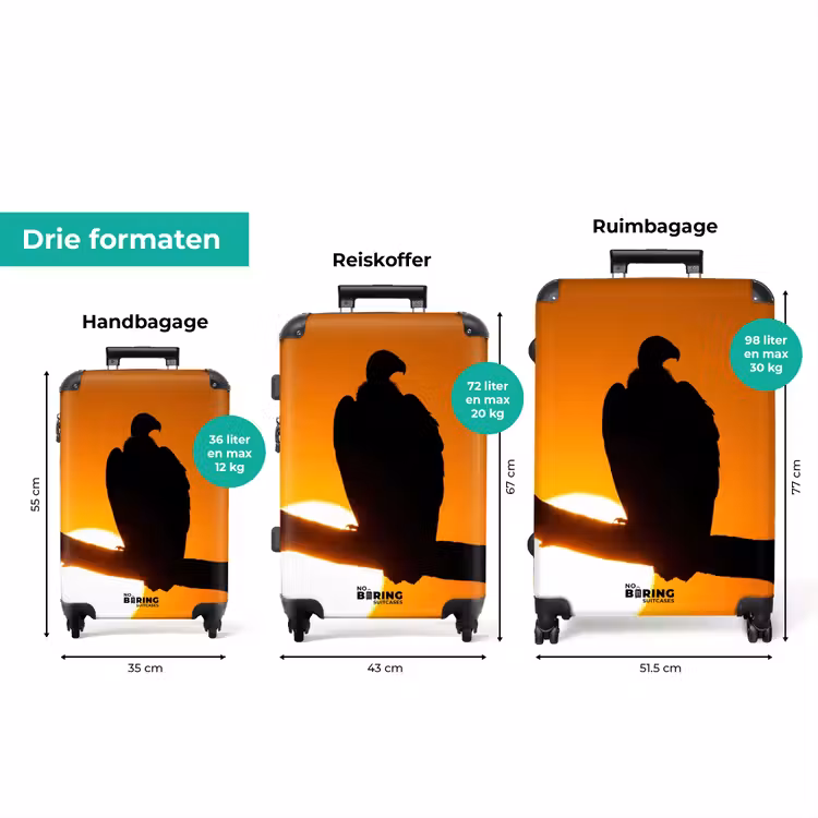 Koffer - Gier - Tak - Zon - Oranje — 8