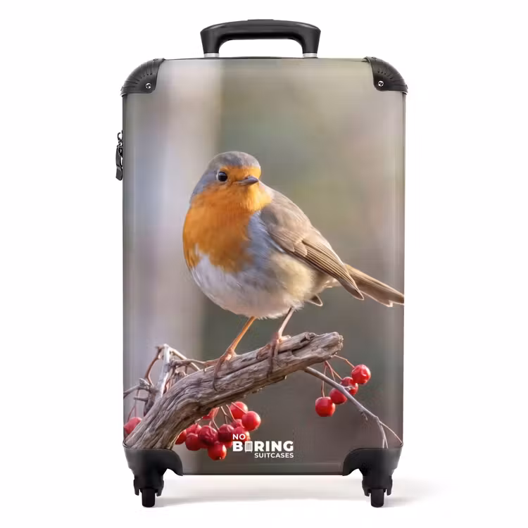 Koffer - Roodborst - Tak - Bessen - Natuur — 1