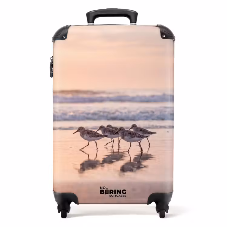 Koffer - Zee - Vogels - Strand — 1