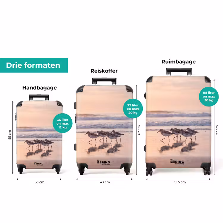 Koffer - Zee - Vogels - Strand — 8