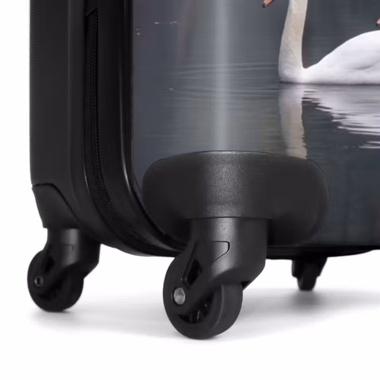 Koffer - Zwanen - Rivier - Bos — 6