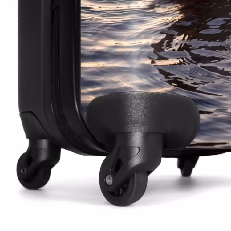 Koffer - Eenden - Water - Natuur — 6