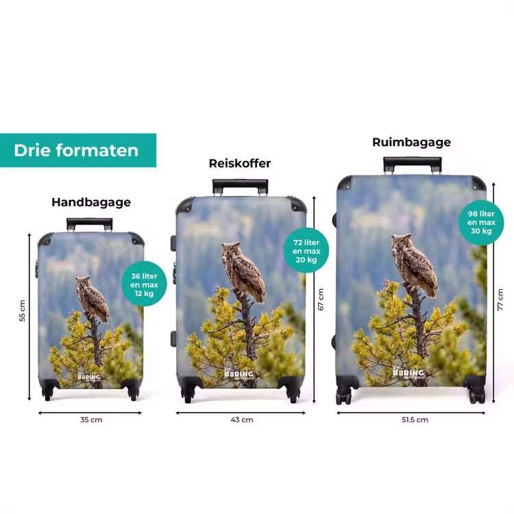 Koffer - Uil - Oehoe - Bomen - Natuur — 8