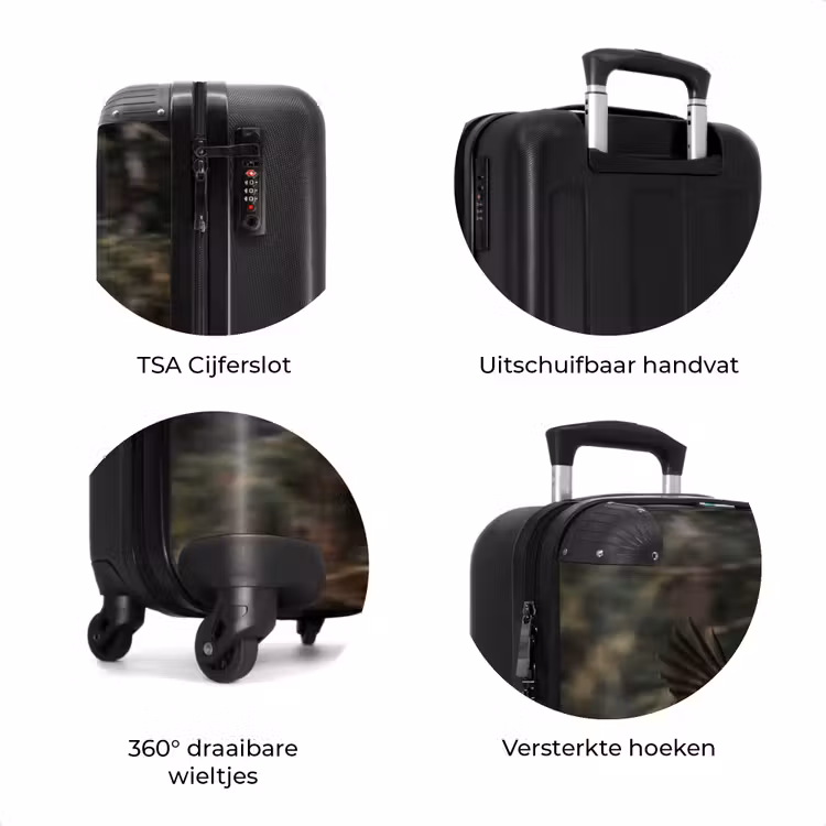 Koffer - Zeearend - Vliegen - Bos - Natuur — 7