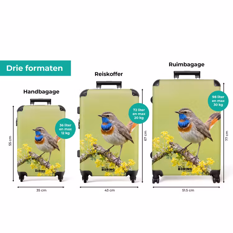 Koffer - Vogel - Tak - Natuur - Kleurrijk — 8