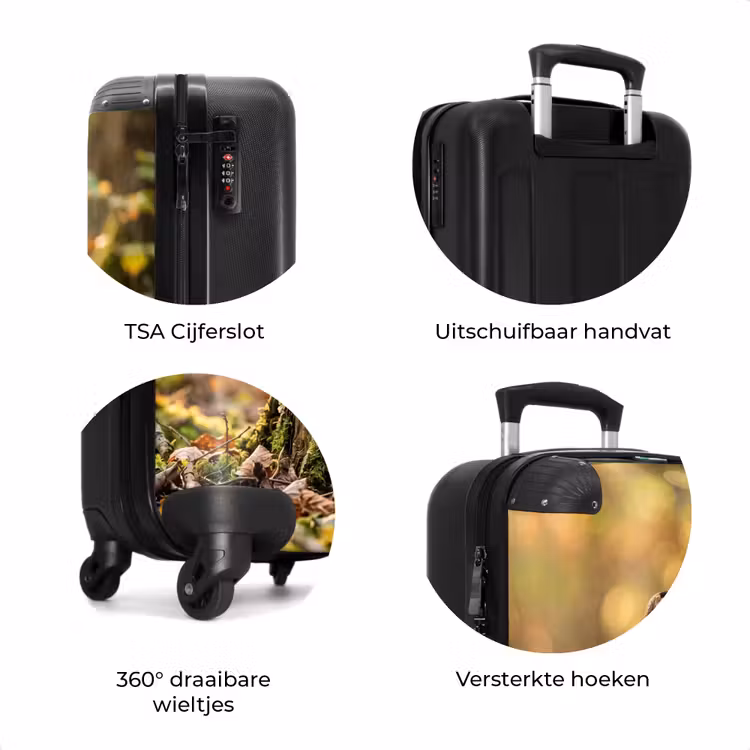 Koffer - Houtsnip - Bos - Bladeren - Herfst - Gecamoufleerd — 7