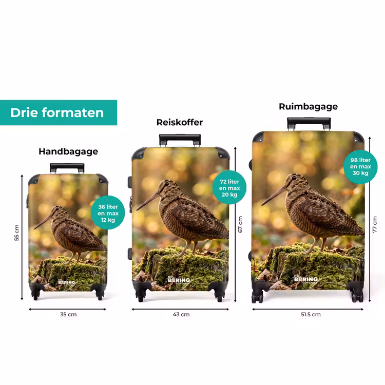 Koffer - Houtsnip - Bos - Bladeren - Herfst - Gecamoufleerd — 8