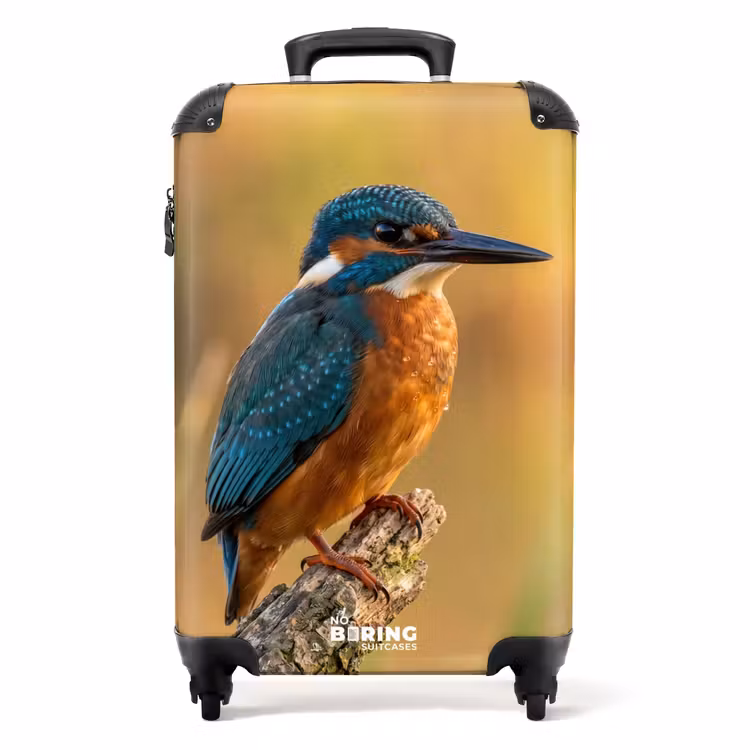 Koffer - IJsvogel - Tak - Water - Kleurrijk - Levendig — 1