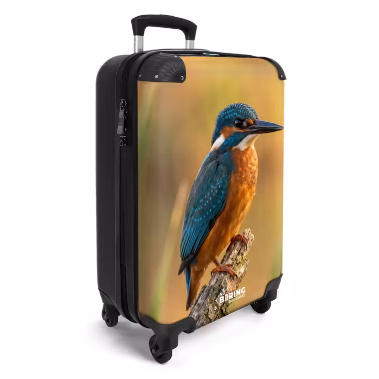 Koffer - IJsvogel - Tak - Water - Kleurrijk - Levendig — 2