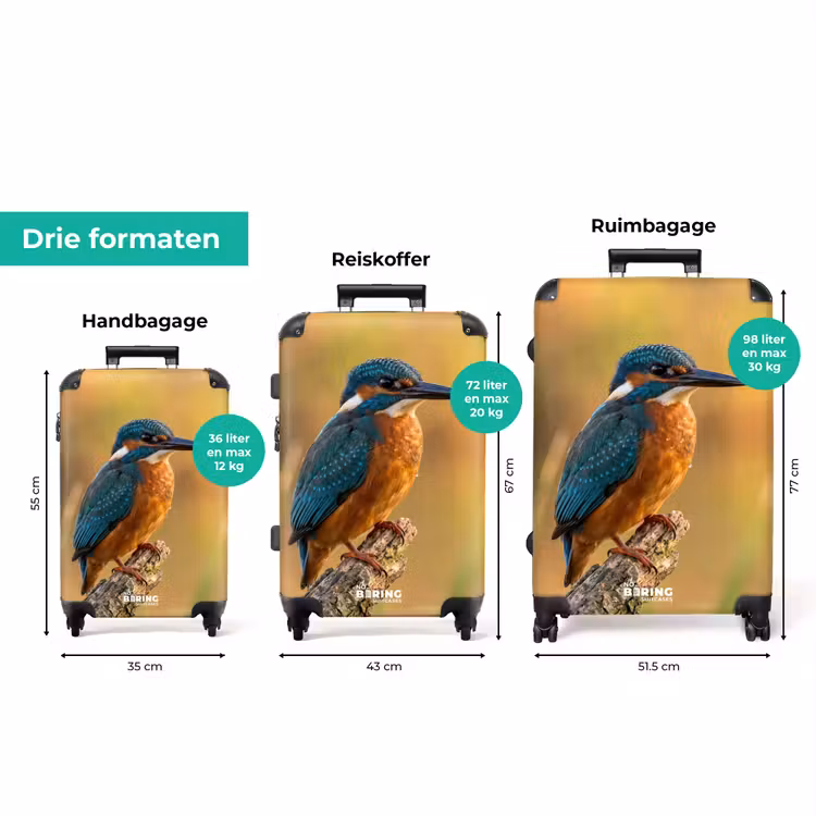 Koffer - IJsvogel - Tak - Water - Kleurrijk - Levendig — 8