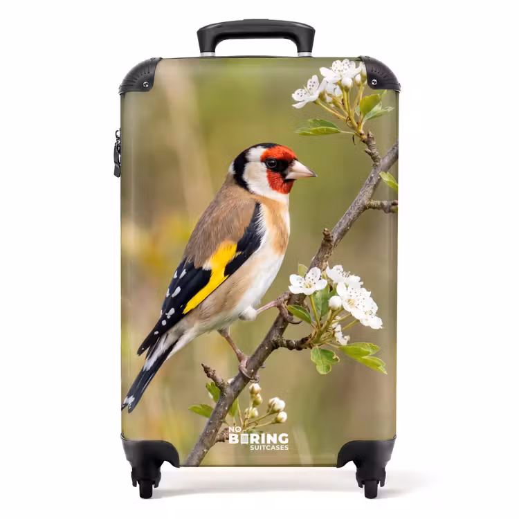Koffer - Putter - Bloesem - Lente - Natuur - Kleurrijk — 1