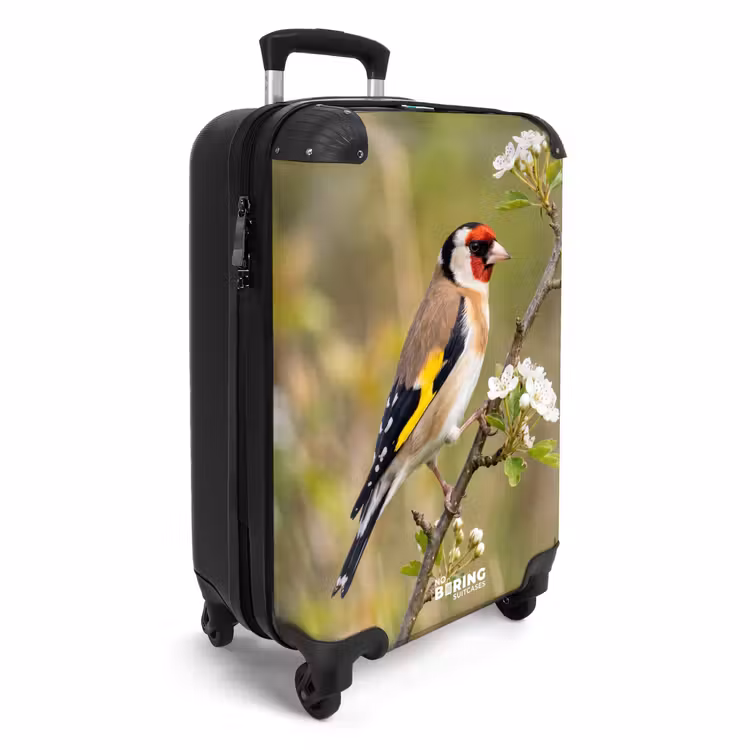 Koffer - Putter - Bloesem - Lente - Natuur - Kleurrijk — 2