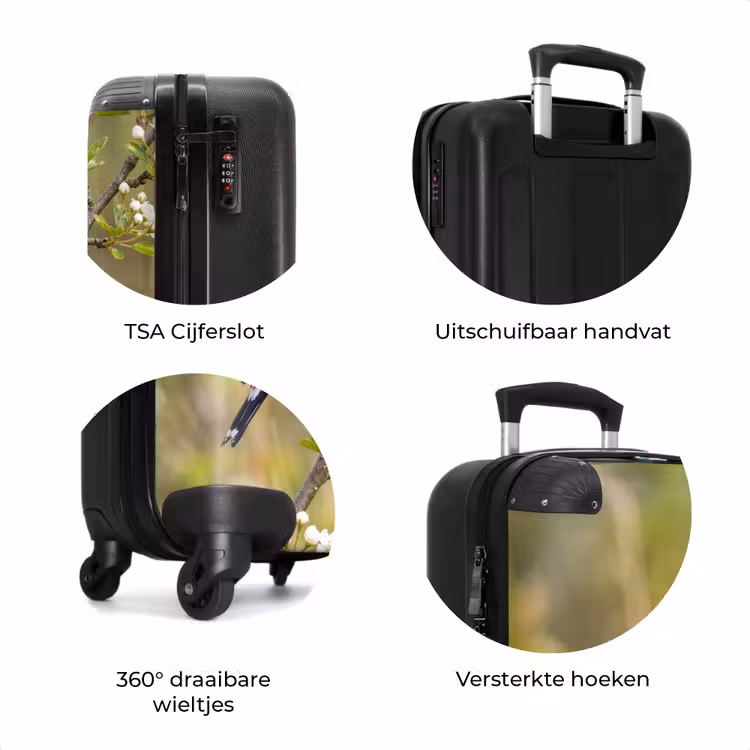 Koffer - Putter - Bloesem - Lente - Natuur - Kleurrijk — 7