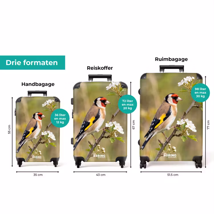 Koffer - Putter - Bloesem - Lente - Natuur - Kleurrijk — 8