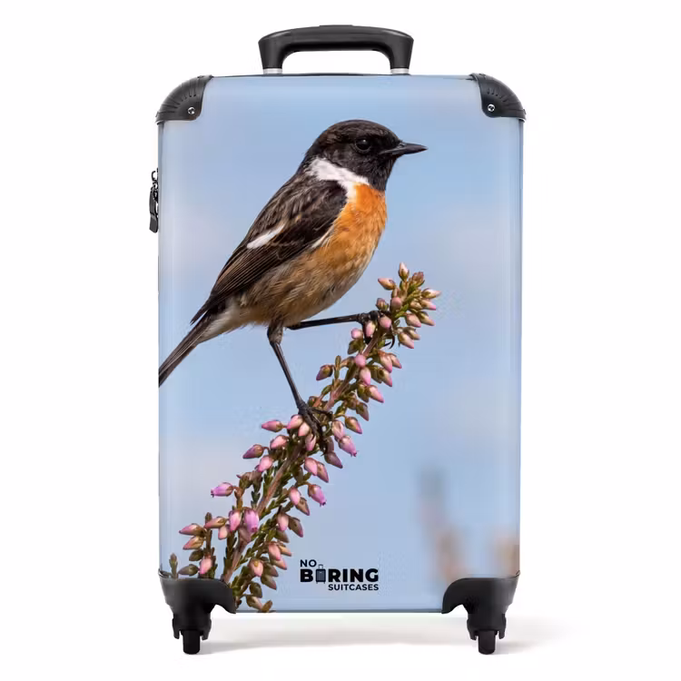 Koffer - Roodborsttapuit - Heide - Paars - Natuur - Sfeervol — 1