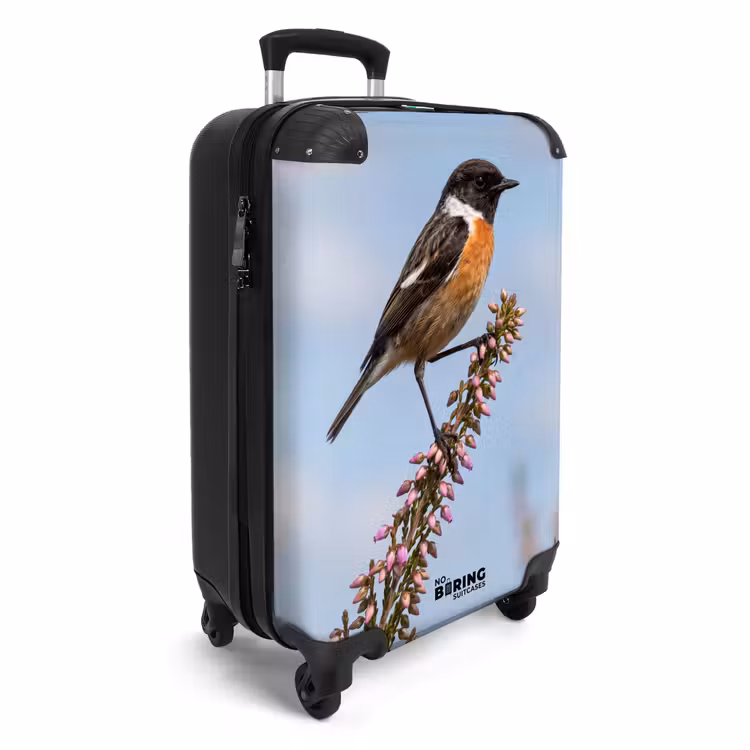 Koffer - Roodborsttapuit - Heide - Paars - Natuur - Sfeervol — 2