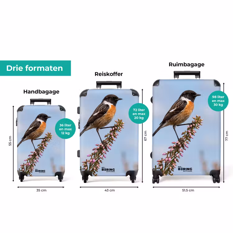Koffer - Roodborsttapuit - Heide - Paars - Natuur - Sfeervol — 8
