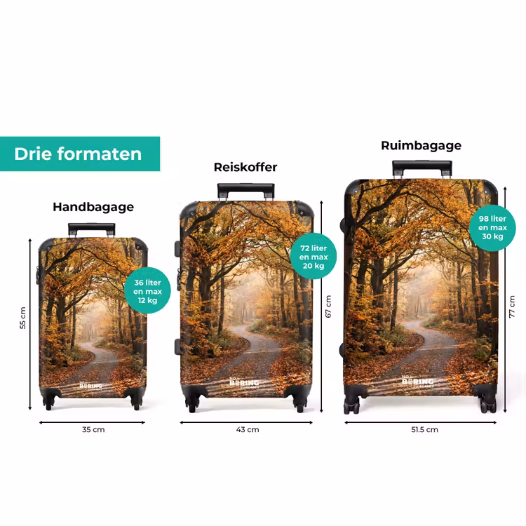 Koffer - Bospad - Herfstbos - Bladeren - Oranje - Nostalgisch — 8