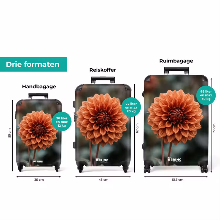 Koffer - Dahlia - Bloem - Natuur - Sfeervol — 8