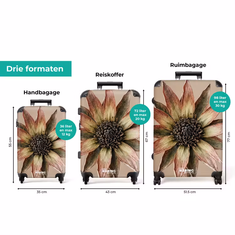 Koffer - Droogbloem - Protea - Vintage - Beige - Rustiek — 8