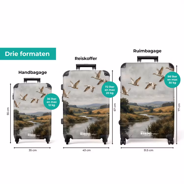 Koffer - Eenden - Rivier - Landschap - Vlucht - Nostalgisch — 8