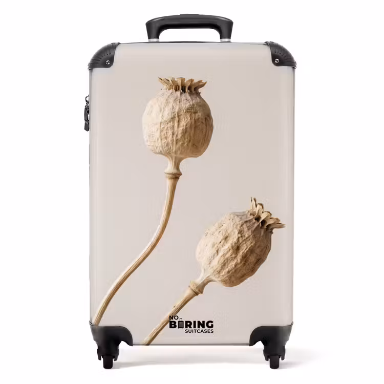 Koffer - Papaverbollen - Droogbloemen - Minimalistisch - Beige - Rustig — 1