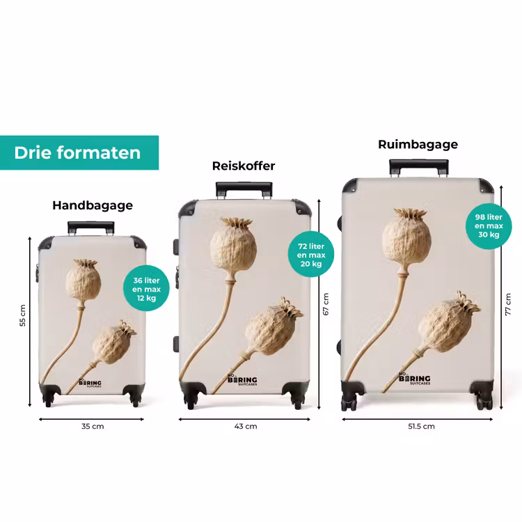 Koffer - Papaverbollen - Droogbloemen - Minimalistisch - Beige - Rustig — 8