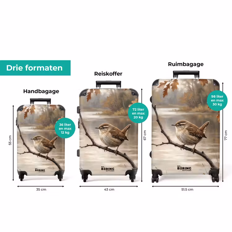 Koffer - Winterkoninkje - Tak - Rivier - Natuur - Sfeervol — 8
