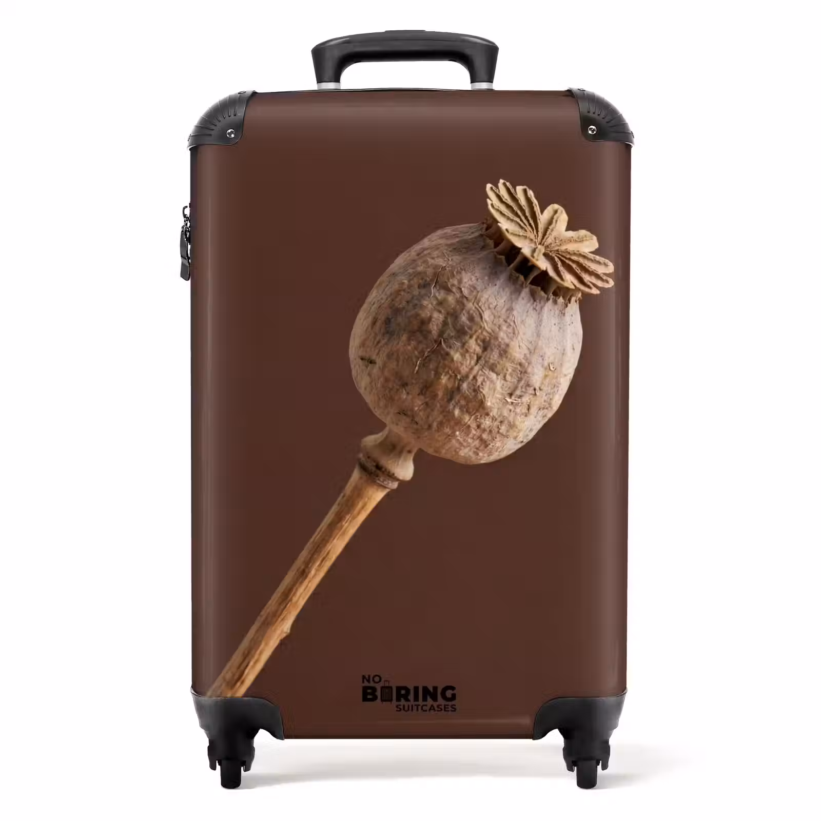 Koffer - Papaverbol - Droogbloem - Bruin - Minimalistisch — 1