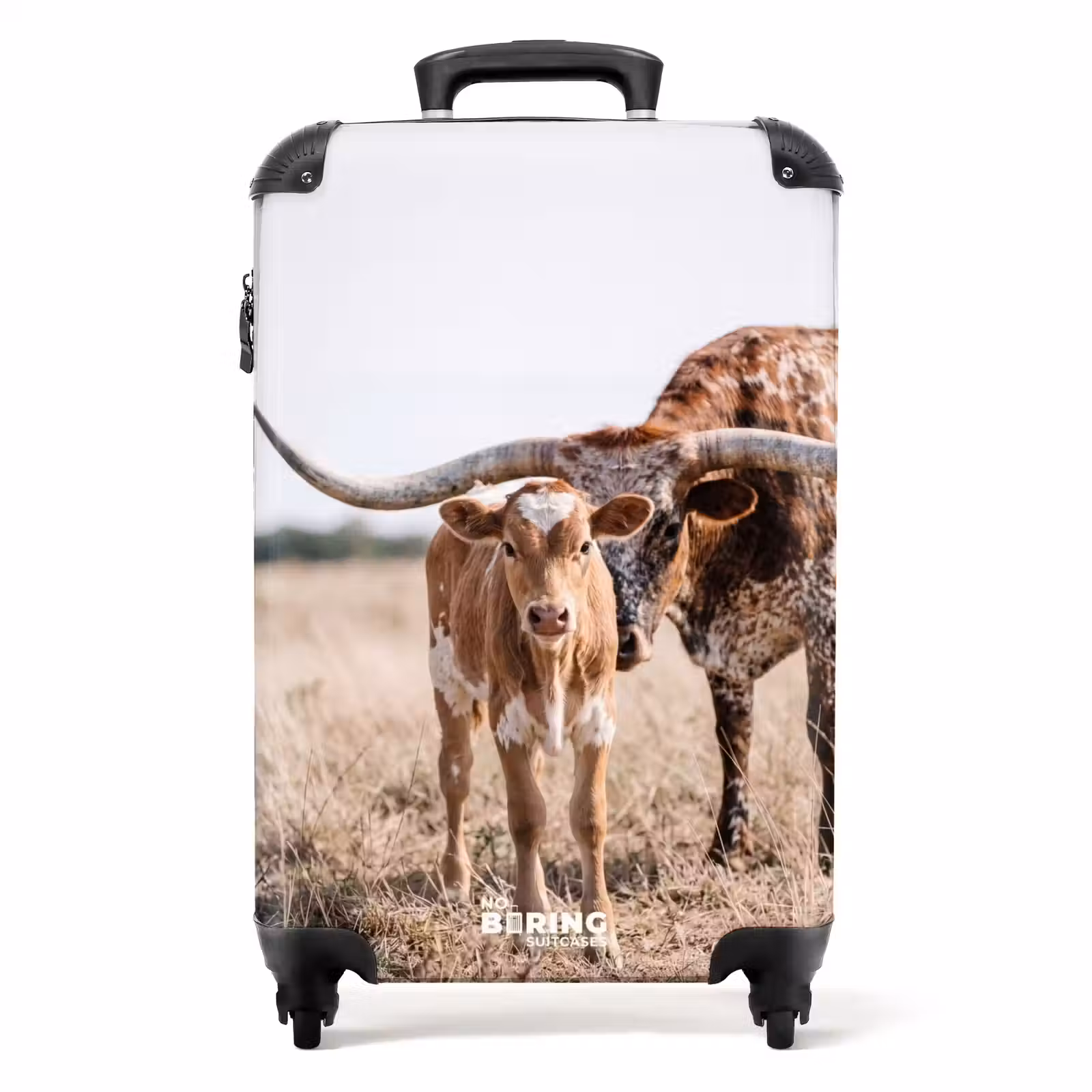 Koffer - Texas Longhorn - Kalf - Weide - Dieren — 1