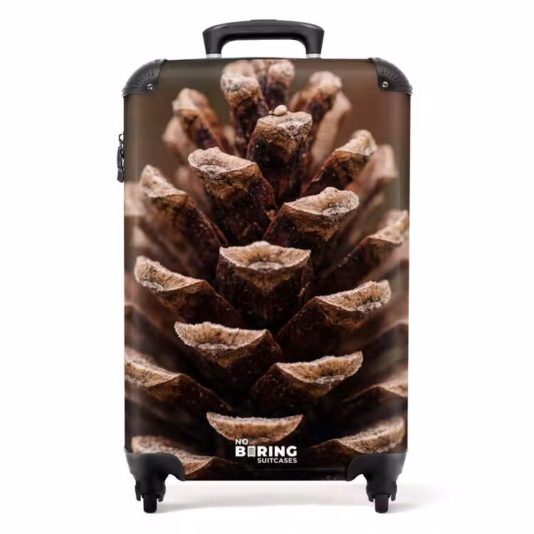 Koffer - Dennenappel - Bos - Herfst - Bruin - Sfeervol — 1