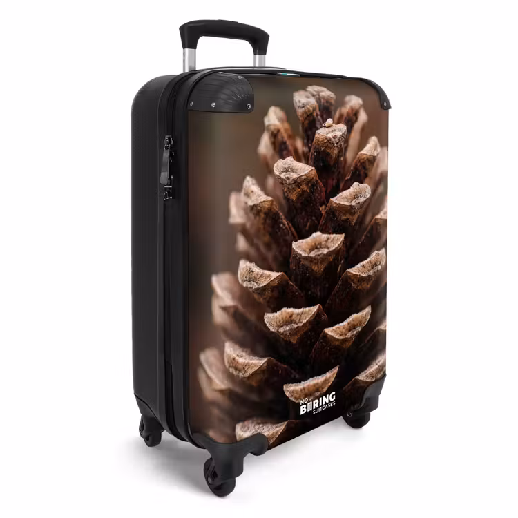 Koffer - Dennenappel - Bos - Herfst - Bruin - Sfeervol — 2