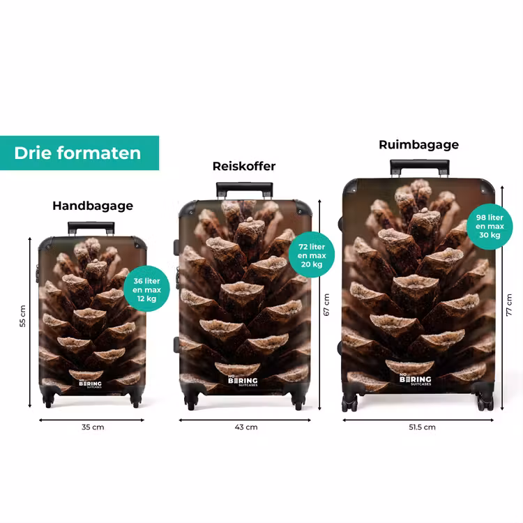Koffer - Dennenappel - Bos - Herfst - Bruin - Sfeervol — 8