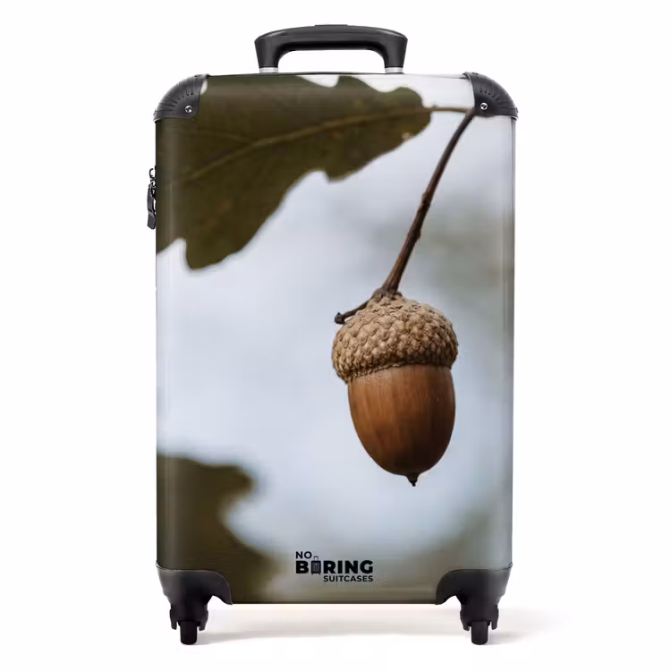 Koffer - Eikel - Eikenblad - Bos - Herfst - Natuur — 1