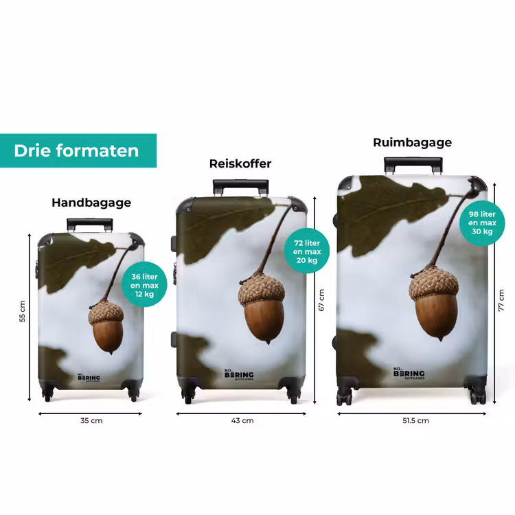 Koffer - Eikel - Eikenblad - Bos - Herfst - Natuur — 8