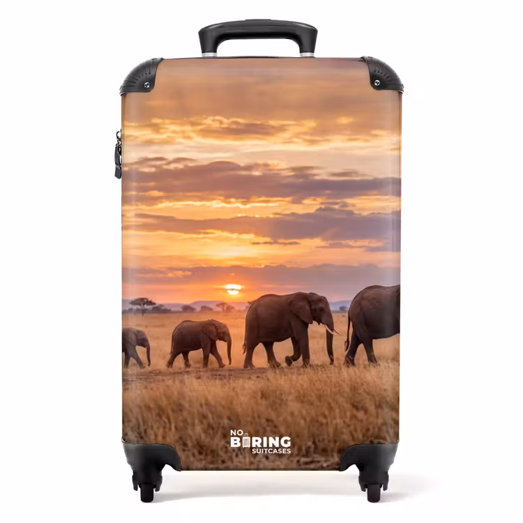 Koffer - Olifanten - Savanne - Zonsondergang - Afrika - Warm — 1