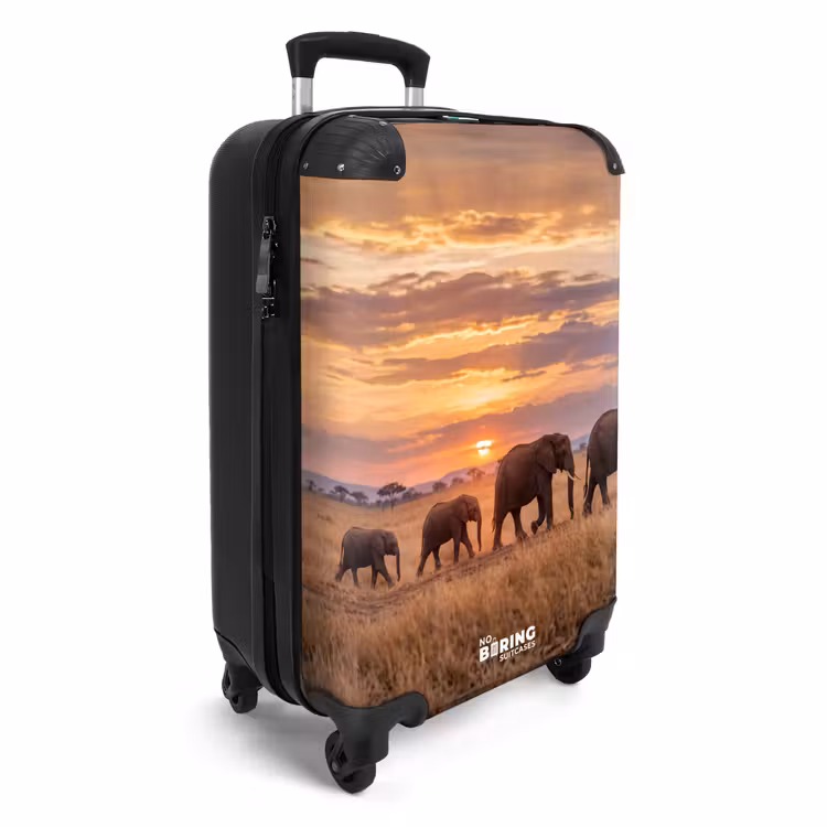 Koffer - Olifanten - Savanne - Zonsondergang - Afrika - Warm — 2