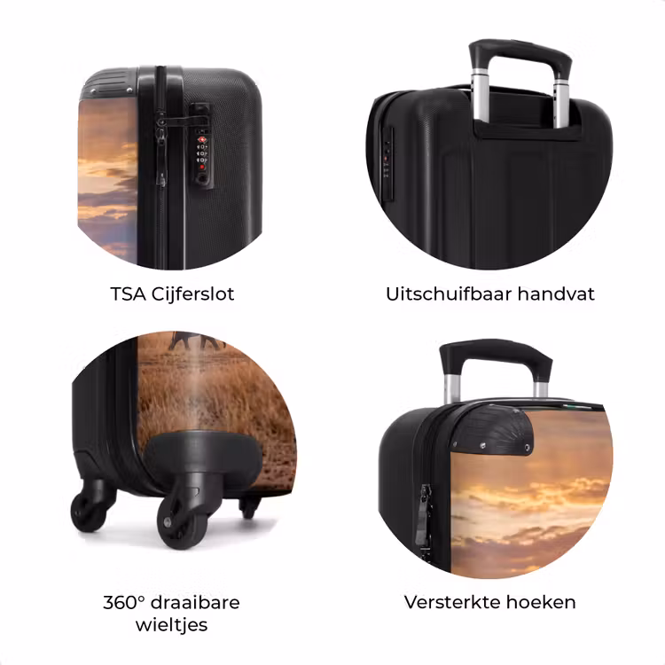 Koffer - Olifanten - Savanne - Zonsondergang - Afrika - Warm — 7